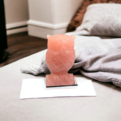 Handmade Owl Paperweight (Pink)
