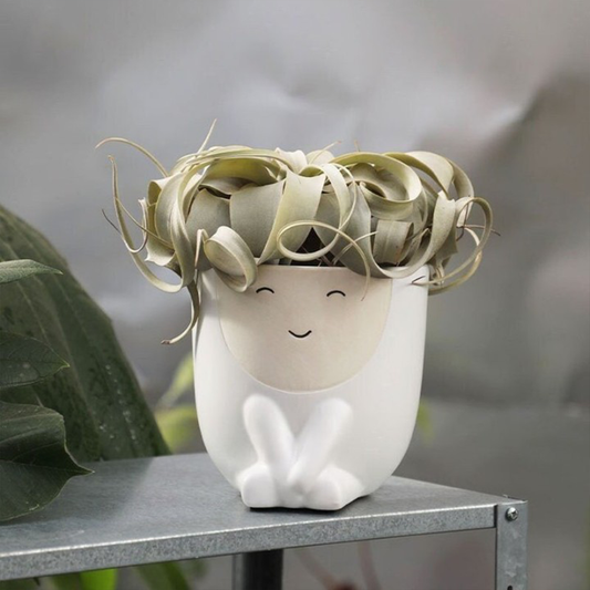 Face Flower Pot