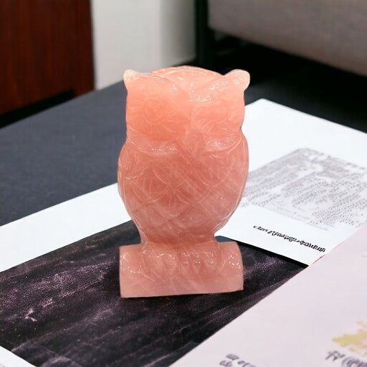 Handmade Owl Paperweight (Pink)
