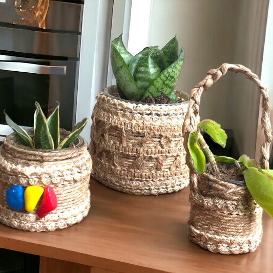 EcoBloom Containers